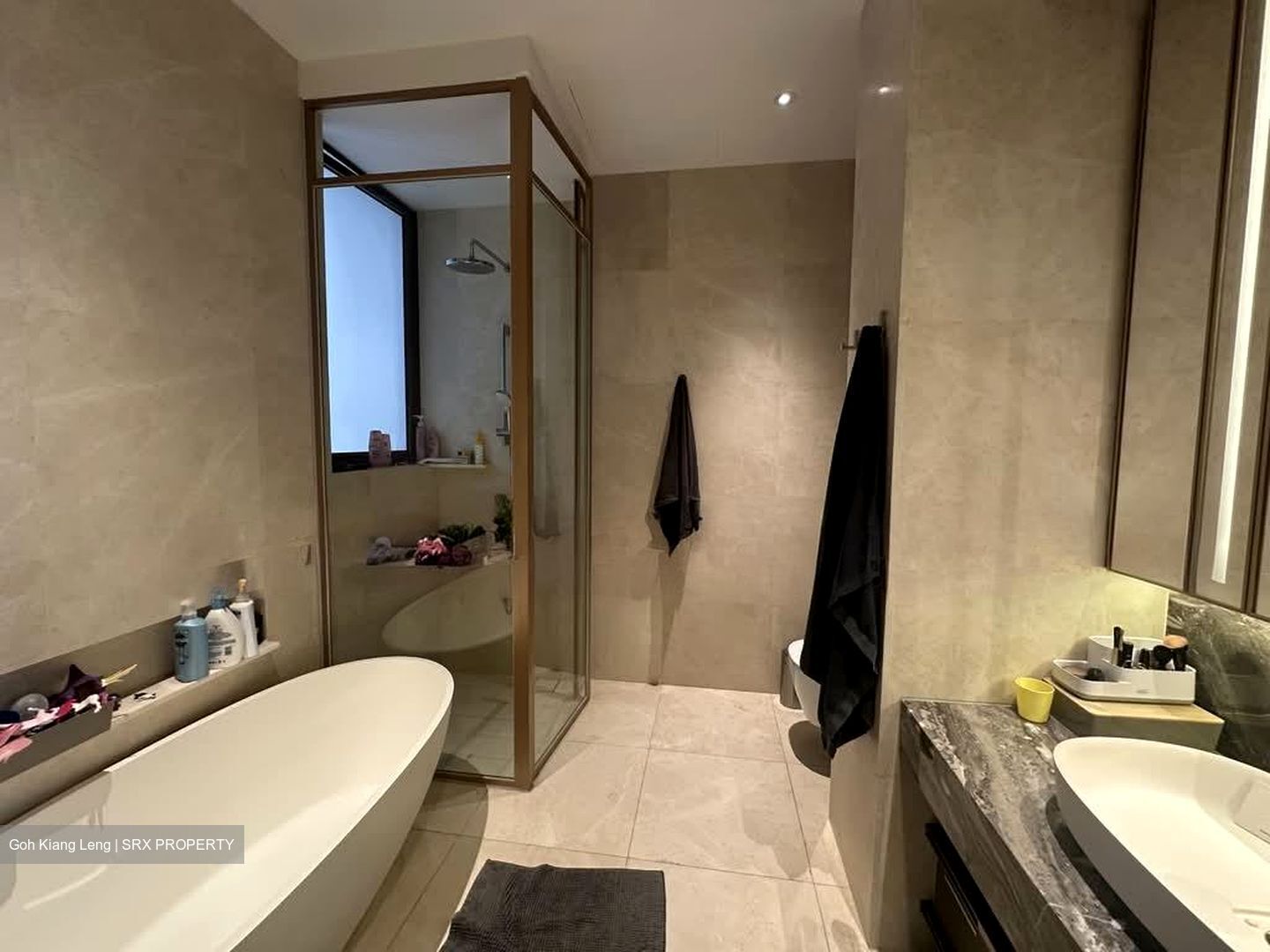 The Avenir (D9), Condominium #563740471